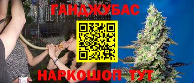 индика Краснодар