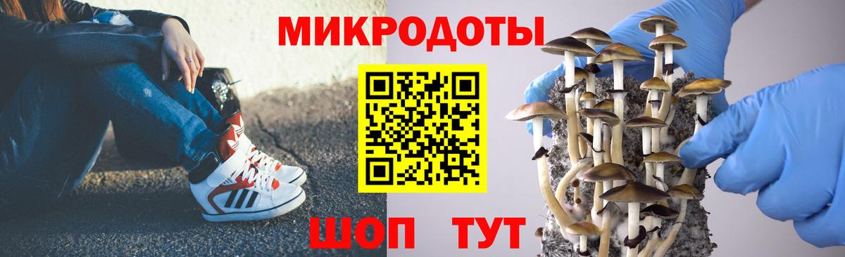 Галлюциногенные грибы MAGIC MUSHROOMS Зима